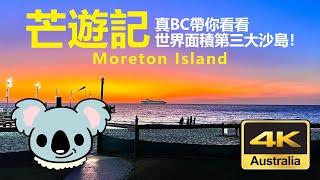 20220831D 【芒遊記】真BC帶你有看世界面積第三大沙島 Moreton Island （又名海豚島）！