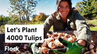 Unbox and Plant a 4000-TULIP GARDEN — Ep. 283