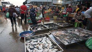 Big Fish Market @Prek Phnov Bridge - Morning Daily LifeStyle of Vendors Buying SeaFood, Fish in Town