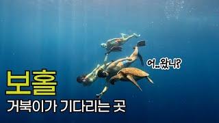 보홀 거북이 만나러 왔는데.. 필리핀 현지 친구까지?!(나팔링&디프리호핑)