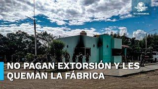 Alianza entre Viagras y CJNG siembra terror en Apatzingán, queman empacadora de limones por no paga