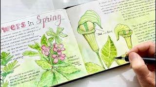 Layout Tips, Spring Wildflowers