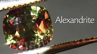 RARE! 0,70ct Certified Alexandrite - Paul Reinhard