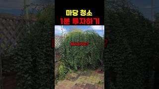 마당청소 1분 투자하기 #shorts