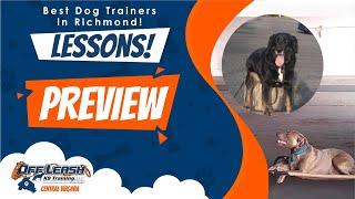 Lessons! | Best Dog Trainers in Richmond! | Richmond Virginia Dog Training