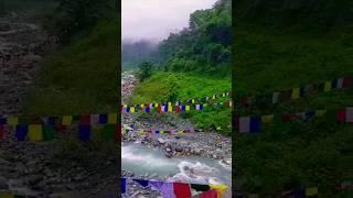 Beauty of Bhutan  #youtubeshorts #nature #naturestories #trending