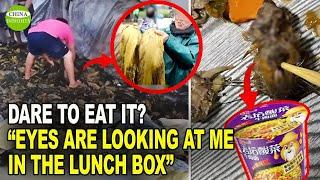 Shocking fake and toxic foods in China. Medical waste is made into takeaway boxes.