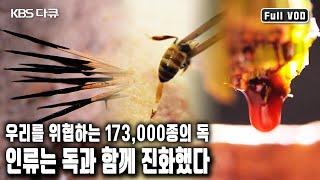 벌의 독, 봉독. 단 1g으로 100만 명 이상을 사망케한 보툴리눔 독소. 독에서 약을 구한 기초과학자들의 집념과 노력 (KBS 20190905 방송)