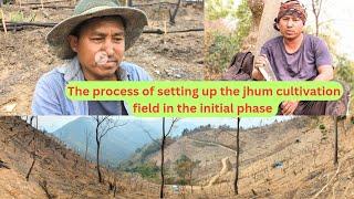 The process of setting up the jhum cultivation field in the initial phase.