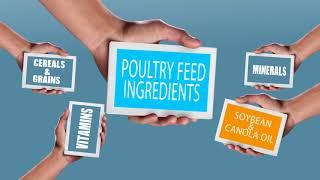 Pakistan Poultry Association