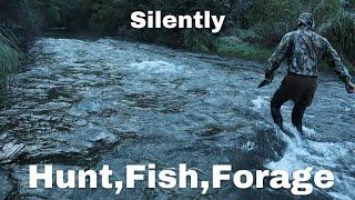 Fish and Forage in Silence ASMR