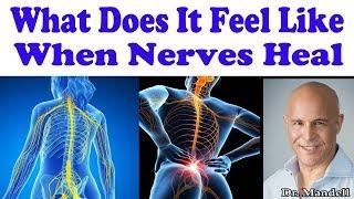 What Does It Feel Like When Nerves Are Healing in Your Body - Dr Alan Mandell, DC