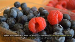 12 foods that improve memory