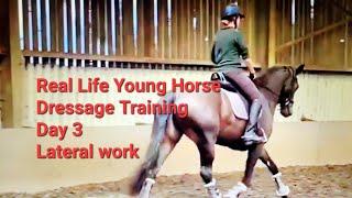 Day 3 of Lateral work - Real-Life Young Horse Dressage Training