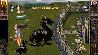 Heroes 3 COMBAT One year growth Castle was attacked by Gold Castle