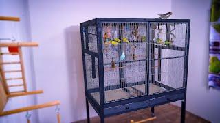 Build Bird Cage for Cheap  | 3 simple Designs for DIY