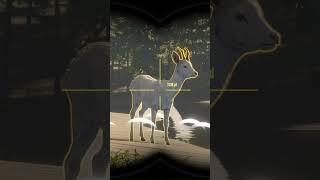 Double Rare  Roe Deer Air Rifle - theHunter: Call of the Wild #shorts