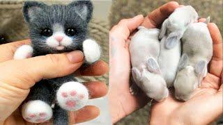 AWW Animals SOO Cute! Cute baby animals Videos Compilation cute moment of the animals #14