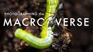 Wildlife Photography in the Macro World - Welcome to the MACROVERSE | Laowa 90mm 2X Ultra Macro