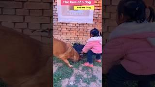 Amazing love of a puppy and its mother  #englishvideos #voicereaction #usa #america