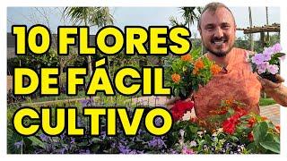 10 FLORES de fácil cultivo para o SEU VASO ou JARDIM