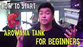 HOW TO START AROWANA TANK | BEGINNERS GUIDE