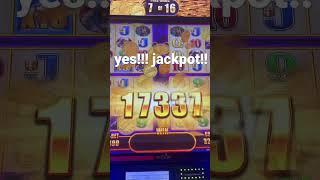 yes slot jackpot! #slotjackpot #timberwolfdeluxe #slotbigwin #slotmachines #slot2022 #slotwins