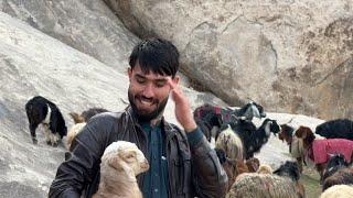 Ohhhh I visited the Nomads | Qandahar - Afghanistan