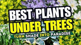  Top 10 MUST-HAVE Plants for Under Trees - TURN SHADE INTO PARADISE!  SECRET GARDEN HACKS! 