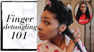 The Easiest Way to Finger Detangle Natural Hair