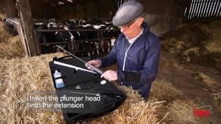 Innovative bovine insemination tool - IMV AlphaVision (full version)