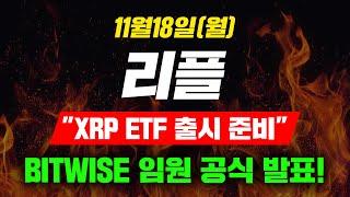 [긴급속보] 11월18일 (월) 리플 "XRP ETF 출시 준비" BITWISE 임원 공식 발표! #리플 #리플전망 #리플코인