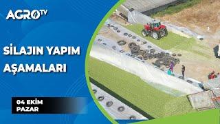 Hayvan Yemi için Silaj Yapım Aşamaları / Baş Çoban - Agro TV