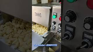 Máy Băm Tự Động (Băm Tỏi, Sả, Ớt) Của TECH GARDEN, LH:0935911775(ThS Trần Trinh)