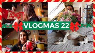  VLOGMAS 22  NEIGHBORHOOD CONFLICTS AND THE LAST GASPS OF THE ADVENT CALENDAR