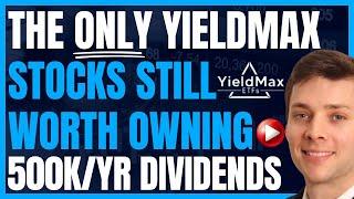 The ONLY Yieldmax Stocks I’ll Own In A Market Recovery (High Yield Dividend Stocks) #FIRE