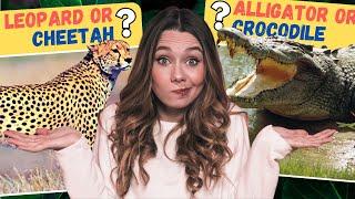 Tricky Twins Quiz? Guess The Animals Challenge | Quiz Bug