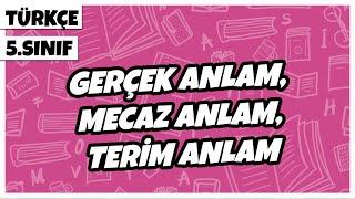 5. Sınıf Türkçe - Gerçek Anlam,  Mecaz Anlam, Terim Anlam | 2022