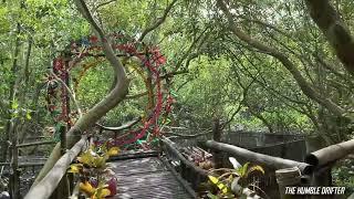 TOMONGTONG MANGROVE ECO TRAIL -  WHERE NATURE AND OCEAN IN ONE PLACE.