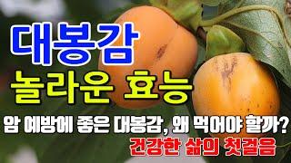 대봉감의 놀라운 효능 8가지 & 부작용 / 대봉감의 항산화 성분으로 노화 예방하세요!