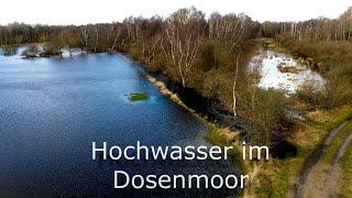 Hochwasser im und am Dosenmoor im Februar 2022