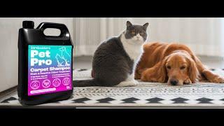 Dirtbusters Pet Pro Carpet Cleaner Shampoo