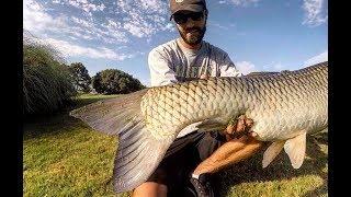 Fishing for GIANT GRASS CARP with DOG FOOD as BAIT!