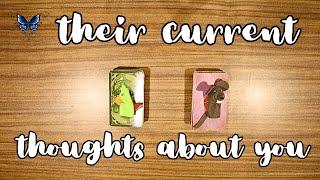 ️‍️‍🩹 WHAT ARE THEIR CURRENT THOUGHTS ABOUT YOU?  Timeless Tarot Reading 