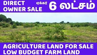 ஏக்கர் 6 லட்சம் | DIRECT OWNER SALE | விவசாய நிலம் | Low budget agriculture land for sale | 1504