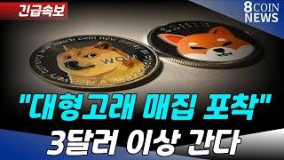 [도지코인+시바] "대형 고래 매집 포착" 3달러 이상 간다