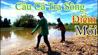 Câu Cá Tra Sông BÃI CÂU ĐẸP CÁ NHIỀU