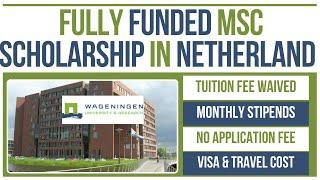  Study in Netherlands 2025 | Fully Funded MSc Scholarship + No Fee, Visa & Flight Costs Covered