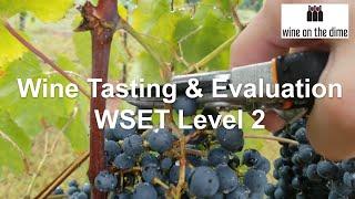 Wine and Spirit Education Trust (WSET) Level 2 Quiz - Wine Tasting & Evaluation