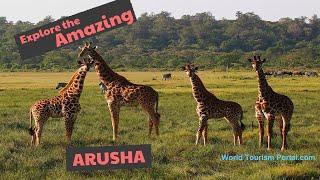 Top things to do and see in Arusha, Tanzania! | Arusha Park travel guide | World Tourism Portal